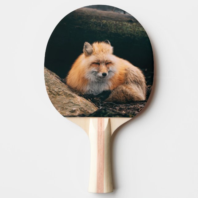 Raquete De Ping Pong Raposa Vermelha Dormindo (Frente)