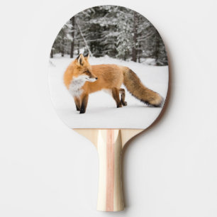 Raquete De Ping Pong Raposa Vermelha na Neve Branca