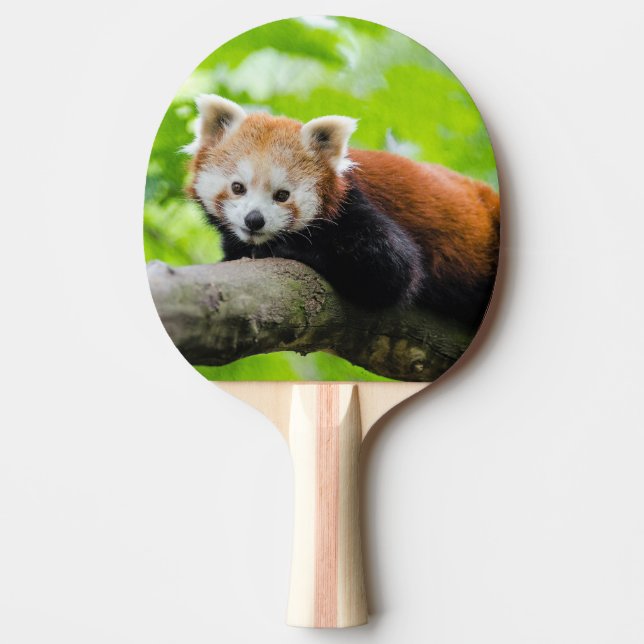Raquete De Ping Pong Red Panda (Frente)