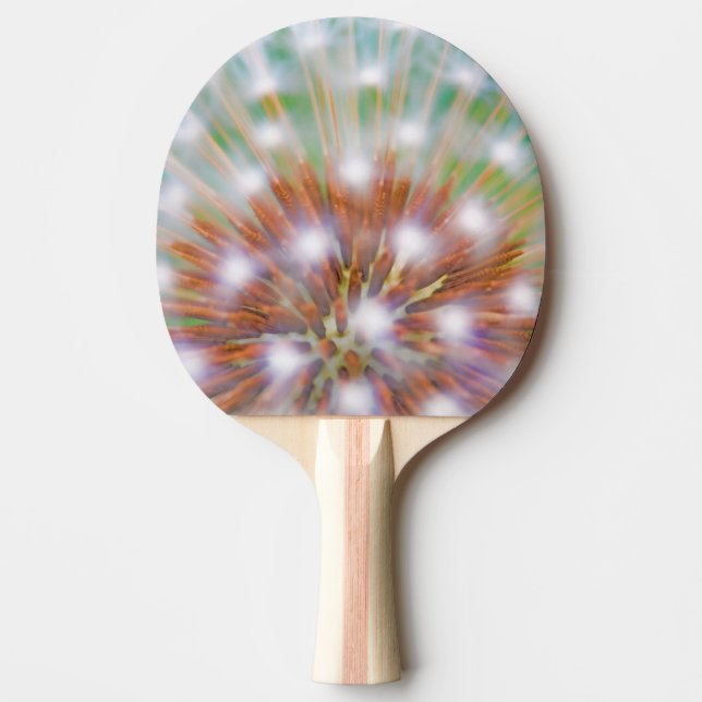 Raquete De Ping Pong Resumo da cabeça da semente de dente-de-leão (Frente)