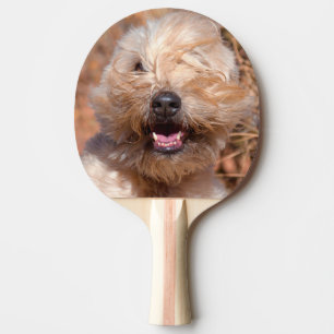 Raquete De Ping Pong Retrato de Soft Coated Wheaten Terrier