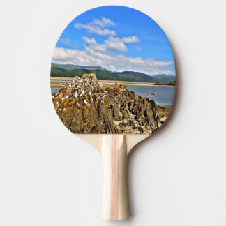 RAQUETE DE PING PONG RIO DAS MARÉS