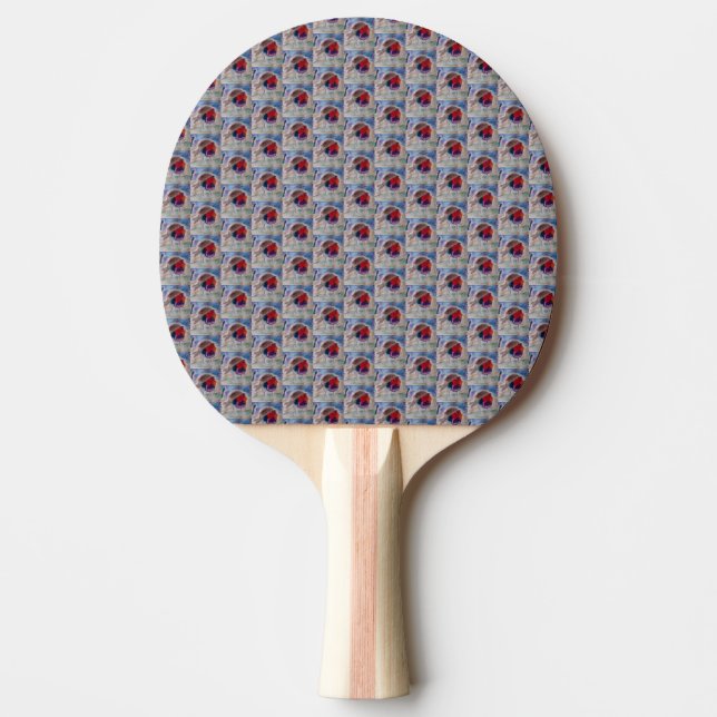 Raquete De Ping Pong Robin Natal (Frente)