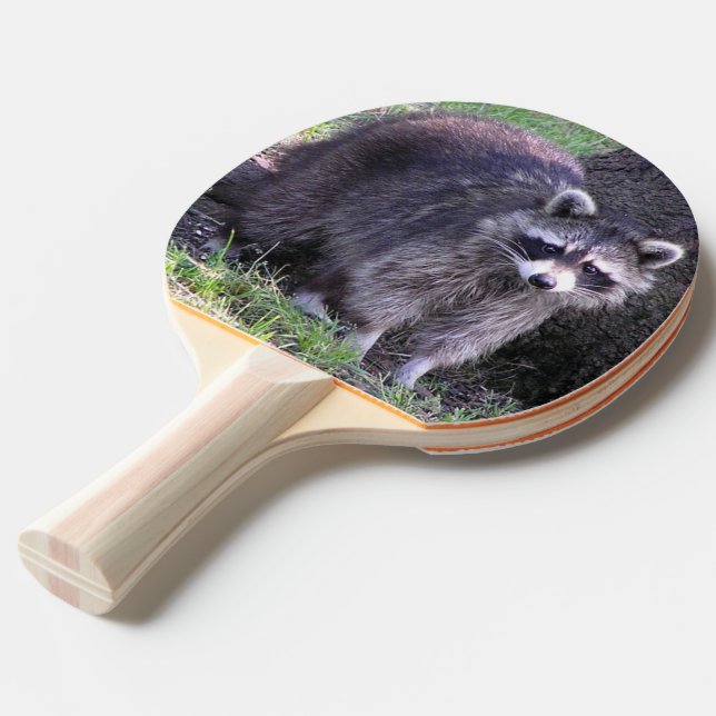 Raquete De Ping Pong Rocky, o Raccoon (Verso inclinado)