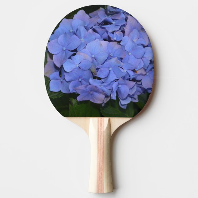 Raquete De Ping Pong Roxo Roxo Hidrangea macrofilla (Frente)