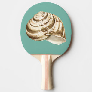 Raquete De Ping Pong Sepia Striped Shell on Teal