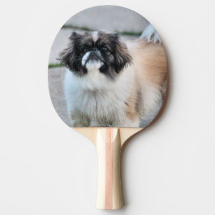 Raquete De Ping Pong Shih Tzu