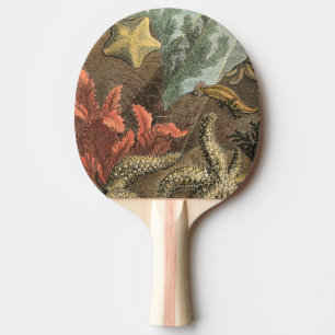 Raquete De Ping Pong Sob o Mar