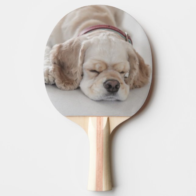 Raquete De Ping Pong Sono do cão de cocker spaniel (Frente)