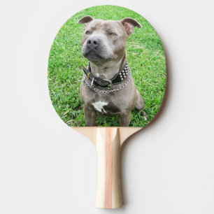 Raquete De Ping Pong Staffordshire Bull Terrier Sentado,