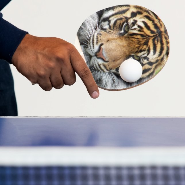 Raquete De Ping Pong Sumatran Tiger Wildlife Photo (Insitu)