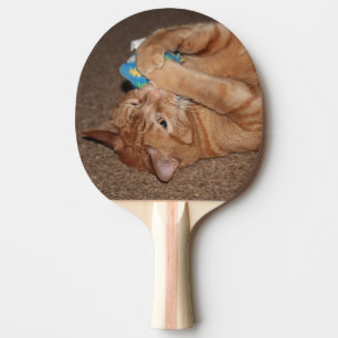 Raquete De Ping Pong Tater