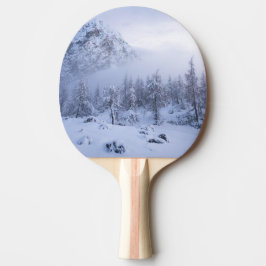 Raquete De Ping Pong Terra maravilhosa do inverno, nevoeiro, floresta d