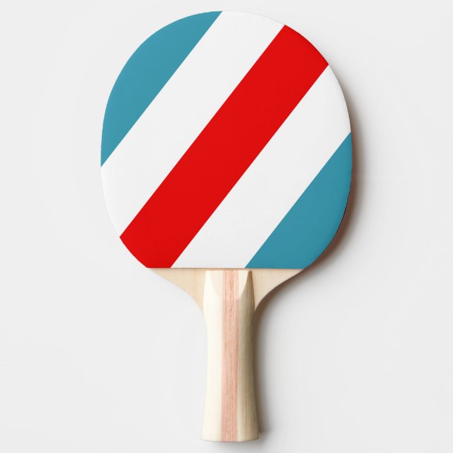 Raquete De Ping Pong Thunderbird Bold Striped (Frente)