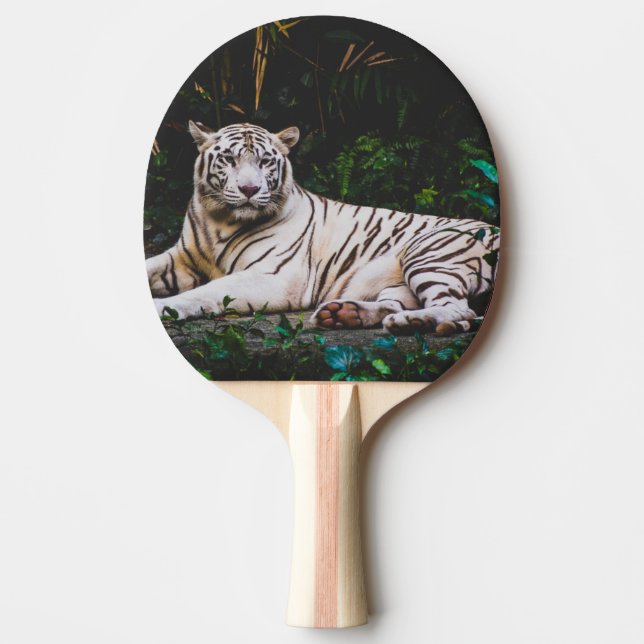 Raquete De Ping Pong Tigre (Frente)