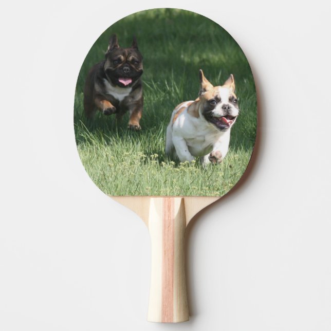 Raquete De Ping Pong Tischtennisschläger Französische Bulldogge Tischte (Frente)