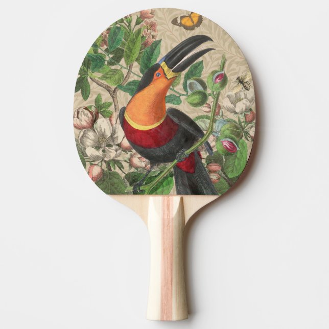 Raquete De Ping Pong Toucan Jungle Tropical Bird Beauful Antiguidade (Frente)