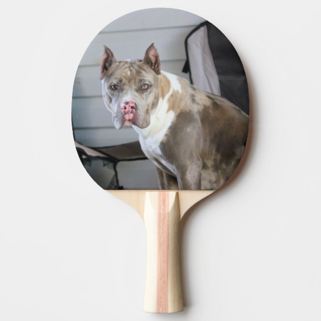 Raquete De Ping Pong Touro Pitt (Frente)