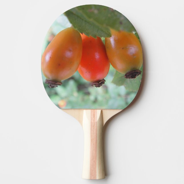 Raquete De Ping Pong Três roseiras laranja (Frente)