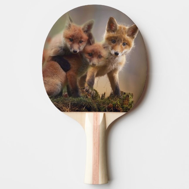 Raquete De Ping Pong Tripletos Fox (Frente)