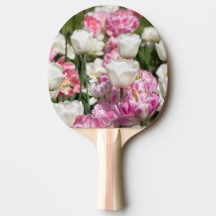 Raquete De Ping Pong Tulipas brancas e cor-de-rosa brilhantes num dia e