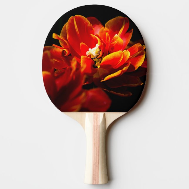 Raquete De Ping Pong Tulipas vermelhas fundo escuro (Verso)