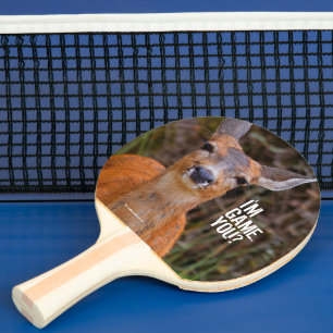 Raquete De Ping Pong Um Jovem Sorriso De Veado Negro