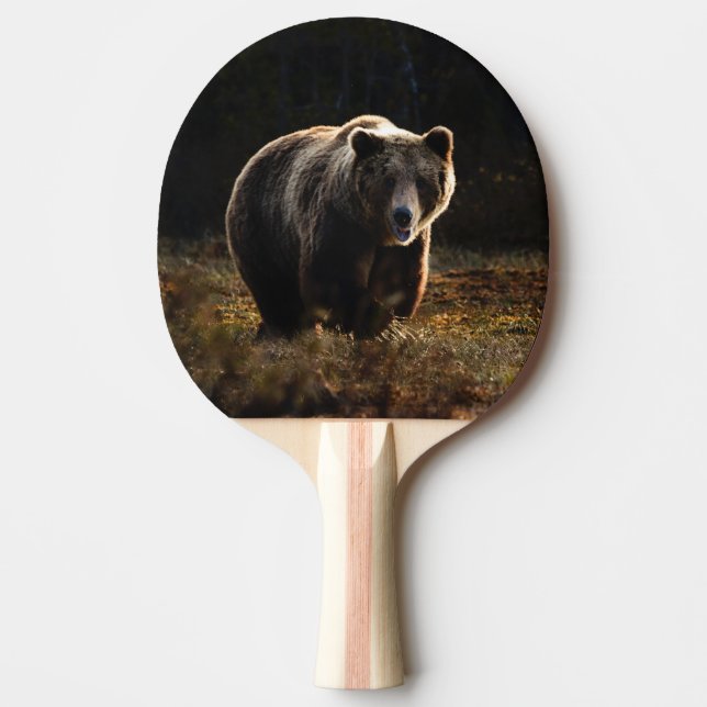 Raquete De Ping Pong Urso (Frente)