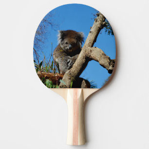 Raquete De Ping Pong Urso Koala Vigioso,