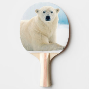 Raquete De Ping Pong Urso polar adulto grande javali no gelo de verão
