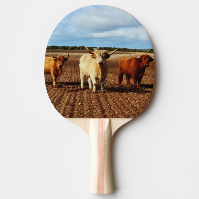 Raquete De Ping Pong Vacas de terra arruinadas, (Frente)