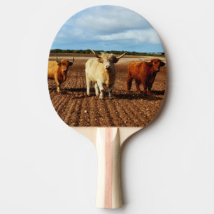 Raquete De Ping Pong Vacas Malditas,