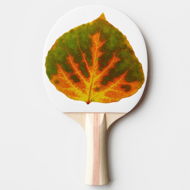 Raquete De Ping Pong Verde Laranja e Amarelo Aspen Folha #1 (Frente)