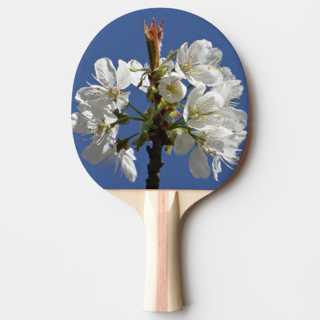 Raquete De Ping Pong White Primavera Bloom (Frente)