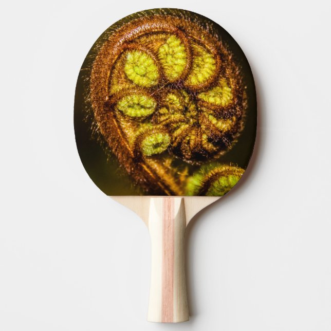 Raquete De Ping Pong Young Fern Folaves (Frente)