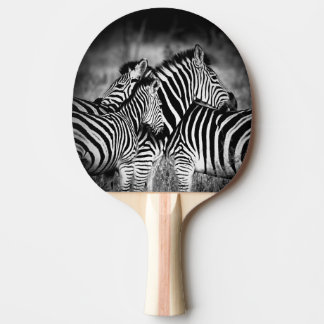 Raquete De Ping Pong Zelo de Zebra