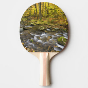Raquete De Tênis De Mesa Arroyo Sanderson. Bosque Estatal Chester-Blanford.
