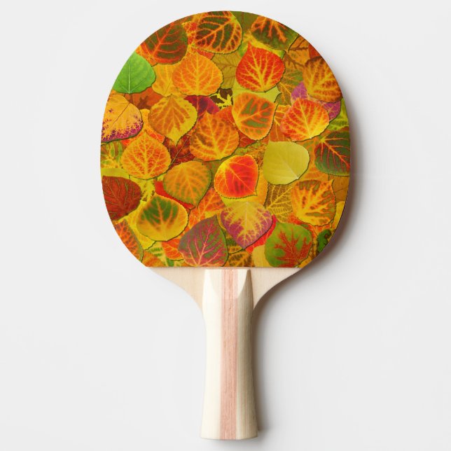 Raquete De Tênis De Mesa Aspen Deixa Collage Sólido Medley 1 (Frente)