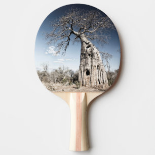 Raquete De Tênis De Mesa Baobab Tree no Parque Nacional de Mana Piscina, Zi