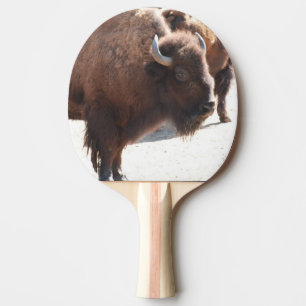 Raquete De Tênis De Mesa Bisonte