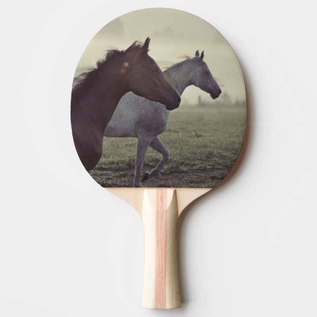 Raquete De Tênis De Mesa Cavalos selvagens (Frente)