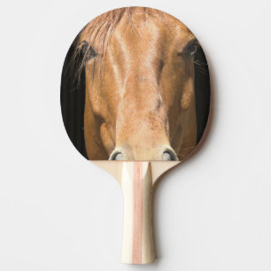 Raquete De Tênis De Mesa chestnut-horse-4