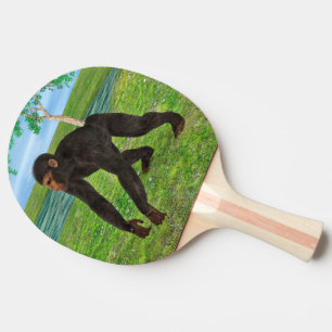 Raquete De Tênis De Mesa Chimpanzé