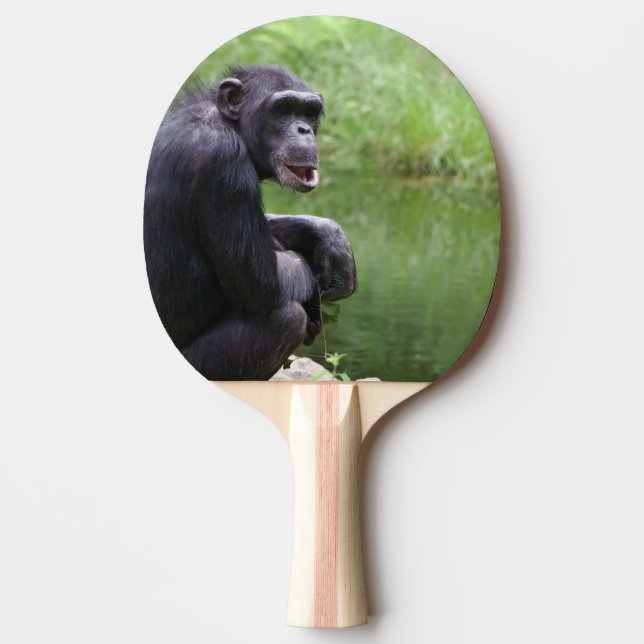 Raquete De Tênis De Mesa Chimpanzé parvo (Frente)