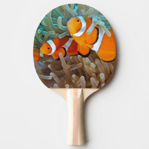 Raquete De Tênis De Mesa Clownfish