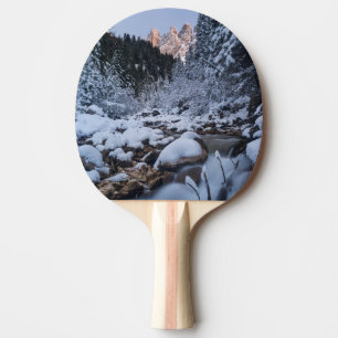 Raquete De Tênis De Mesa Cordilheira Geisler coberta de neve