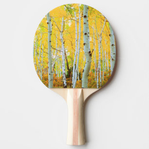 Raquete De Tênis De Mesa Cores de outono das árvores Aspen 1