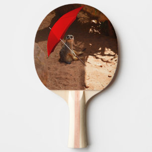 Raquete De Tênis De Mesa Engraçado Meerkat Sentado Sob Umbrella,