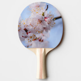 Raquete De Tênis De Mesa Flor Apricot Japonês