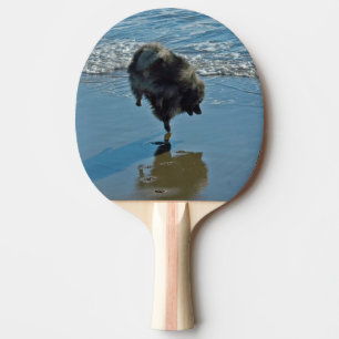 Raquete De Tênis De Mesa Fotografia do Balé Keeshond - Arte de Cachorro Ori